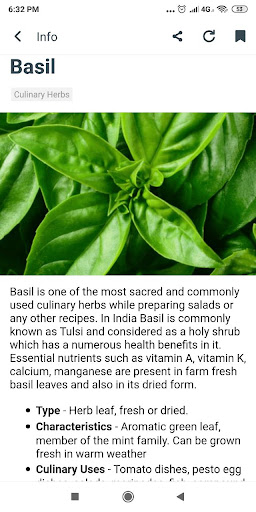 Culinary Herbs and Spices Screen 3