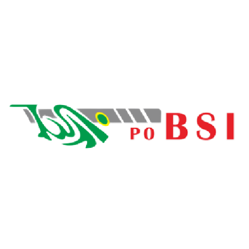 PO. BSI logo