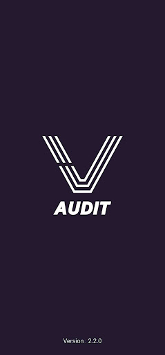 VayanAudit Screen 2