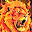 Lion Wallpaper HD Download on Windows