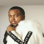 Cover Image of Télécharger Sean Kingston Songs & Albums  APK