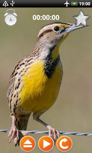 Android application Birds Calls Sounds screenshort
