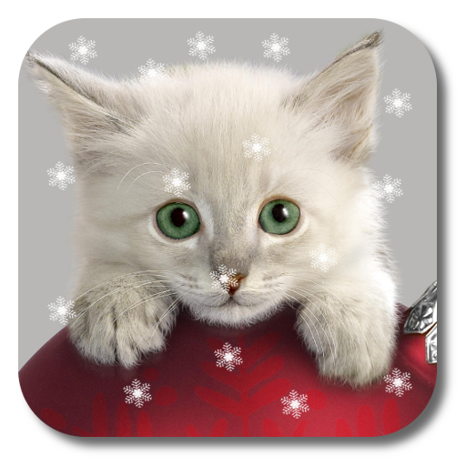 Xmas Cat Live Wallpaper 1.3 Icon