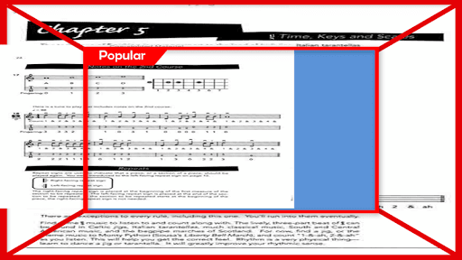 Good Beginner Mandolin