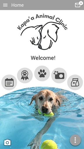 Android application Kapaa Animal Clinic screenshort
