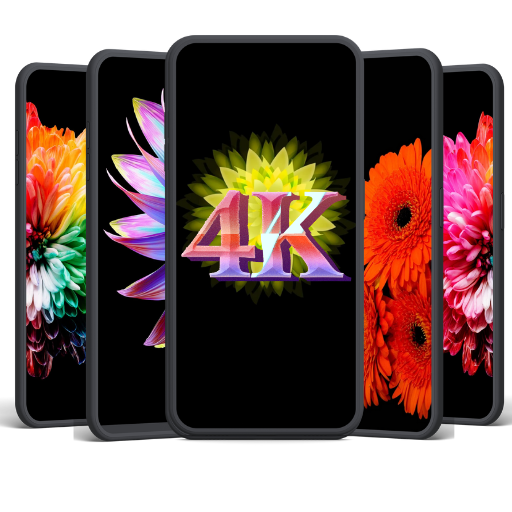 Wallpaper 4K & Backgrounds HD logo