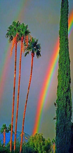 ألوان قوس قزح