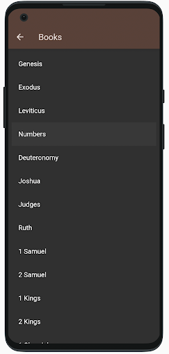 Ruminate Screen 2