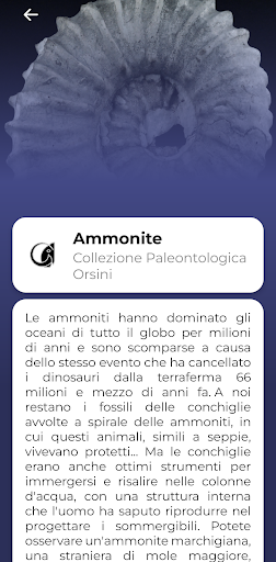 Musei Digitali Screen 3