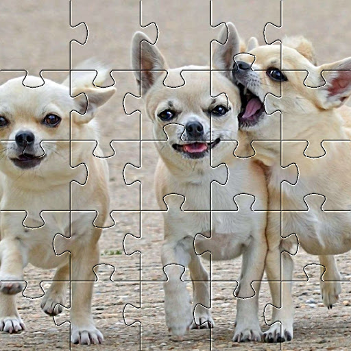 Chihuahuas Dog Puzzles Games