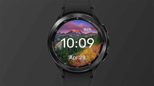 Screenshot image
