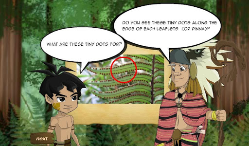 The Fern Screen 3