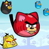Angry Pussy Cats icon