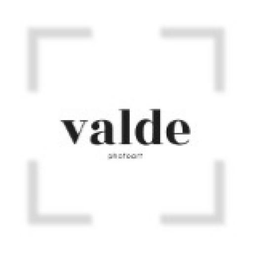 Valdemarca Vanni logo