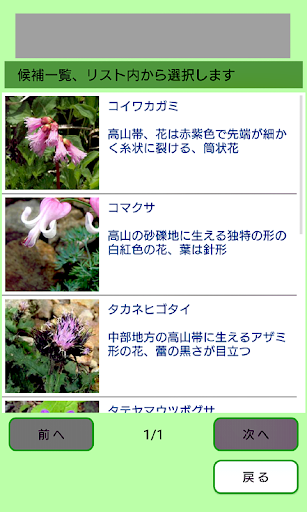 高山植物がすぐわかる Screen 3
