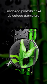 Screenshot 4 Fotos con plantas android