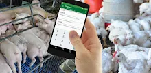 Custo Fácil APK