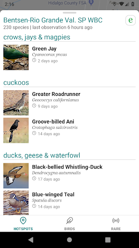 GoBird - Guide to Nearby Birds 2