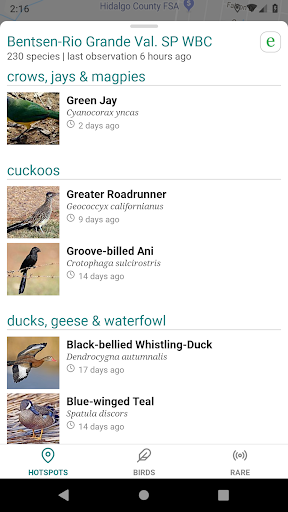 Screenshot of GoBird - Guide to Nearby Birds
