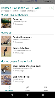 GoBird - Guide to Nearby Birdsのおすすめ画像2