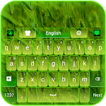 Green Nature Keyboard Apk