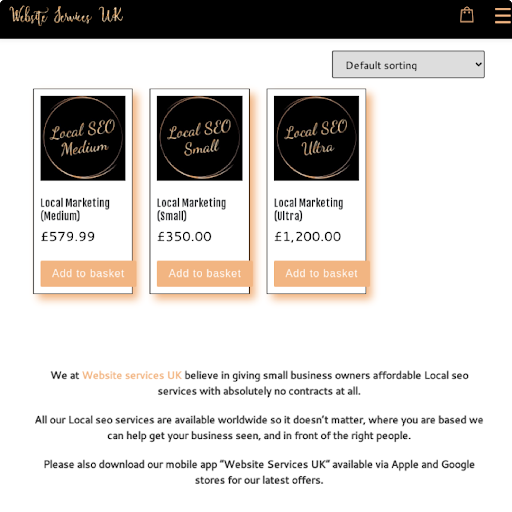 Website Services Screen 3
