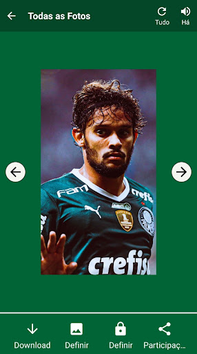 Palmeiras Papel de Parede - HD Screen 2