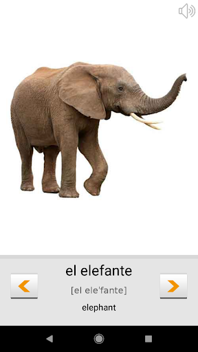 Learn Spanish words with ST Screen 3
