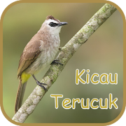 Top 33 Music & Audio Apps Like Kicauan Trucukan Gacor - Offline - Best Alternatives