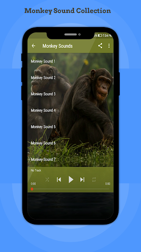 Monkey Sounds Screen 3