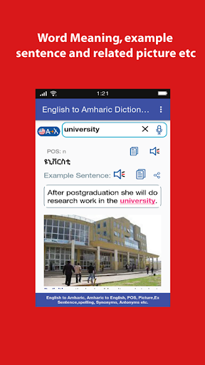 Android application English Amharic Dictionary screenshort