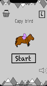Capy bird