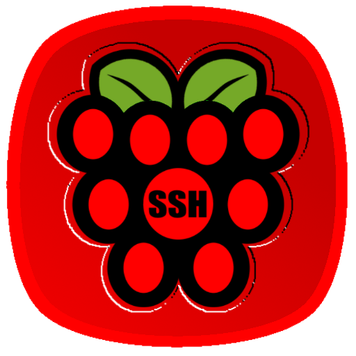 Raspberry SSH Custom Buttons 6 Icon