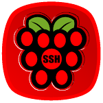 Cover Image of Download Raspberry SSH Custom Buttons  APK