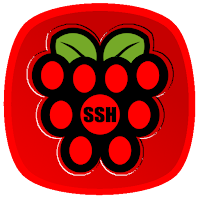 Raspberry SSH Custom Buttons