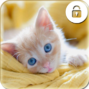 Kitty Cat Phone Lock Screen - Pin Lock