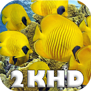 Top 36 Puzzle Apps Like Quad HD 2k animals puzzle - Best Alternatives