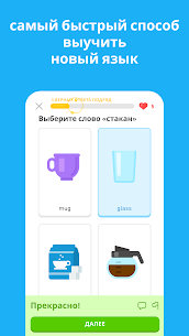 Скачать Duolingo: уроки иностранного 5.128.3 2