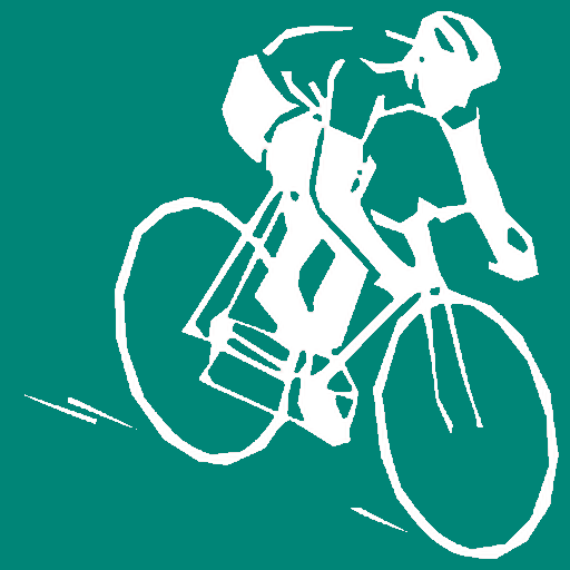 Biking Navi logo
