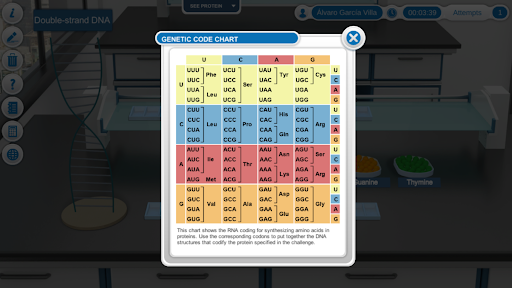 DNA Replication Screen 2