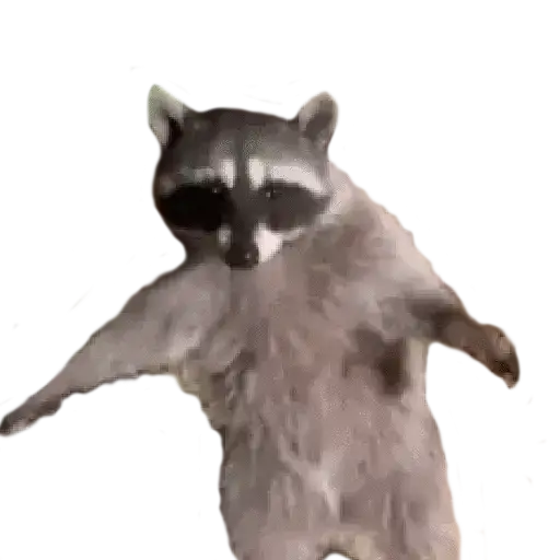 Stickers Memes - WASticker Download on Windows