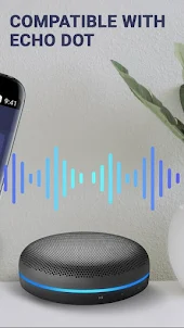 Echo Alexa App Voice Assistant