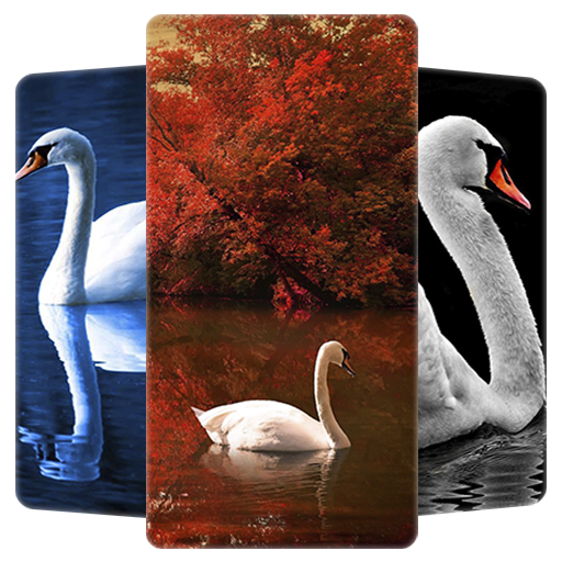 Swan HD Wallpaper logo