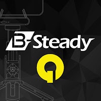 Brica B-Steady Q