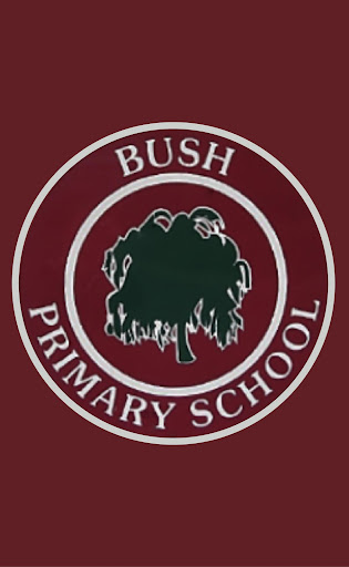 Bush PS Screen 3