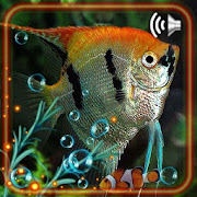 Fishes Aquarium HD Live Wallpaper
