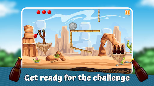 Bottle Shooting Game Screen 2