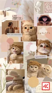 Cute Cat Wallpaper
