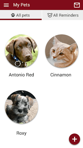 Heritage Pet Screen 3