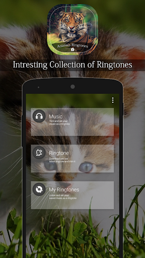 Animals Ringtone Screen 3